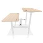 Bureau assis debout DUO KQUEO blanc et chêne