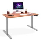 bureau debout 2 moteurs CIRCLE gris chene naturel