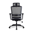 Chaise ergonomique multi réglages noire LAMA KQUEO